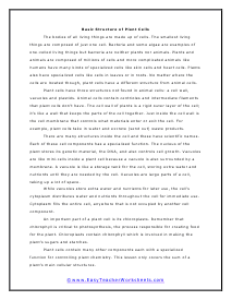 Plant Cell Worksheet