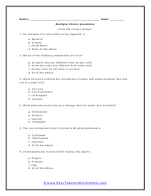 Plant Cells Multiple Choice Worksheet