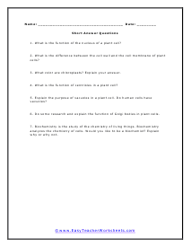 Plant Cells Short Answer Worksheet