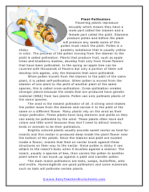 Pollinators Worksheet