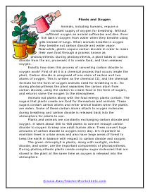 Plants and Oxygen Worksheet