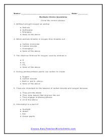 Oxygen Question Worksheet