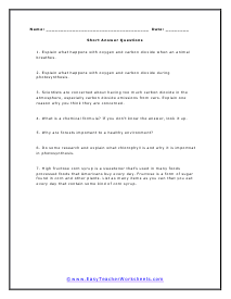 Oxygen Short Answer Worksheet