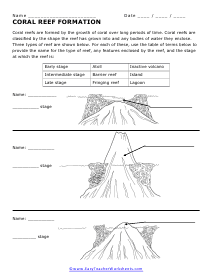 Coral Reef Worksheet