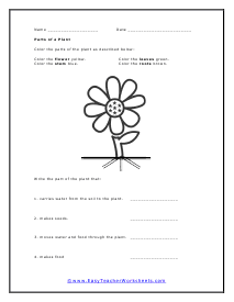 Plant Parts Worksheet