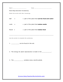 Plant Reproduction Worksheet