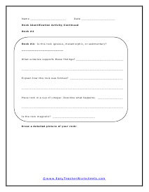 Identification Activity Continued Worksheet