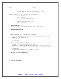 Effect of Light Worksheet