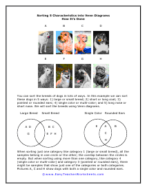 Sorting 5 Worksheet