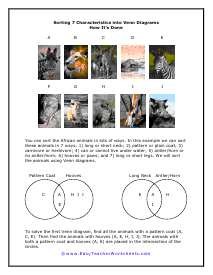 7 Things Worksheet