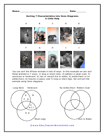 7 Traits Worksheet