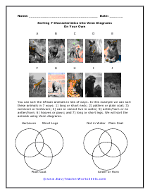 7 Into Sets Worksheet