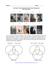 7 Traits Worksheet