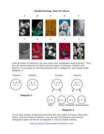 Double Sort Worksheet