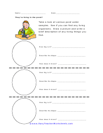 Living in the Pond Worksheet