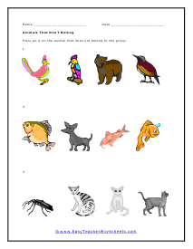 Animals That Don't Belong Worksheet