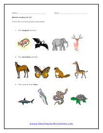Describing Animals Worksheet