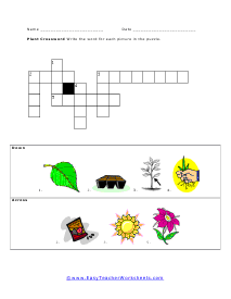 Plant Crossword Worksheet