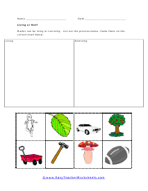 Living or Not Worksheet