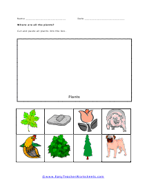 Where are the Plants Worksheet