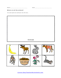 Where are the Animals Worksheet
