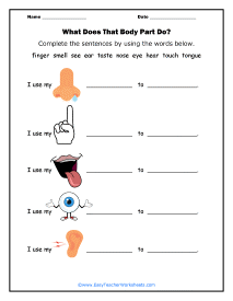 Body Parts Worksheet