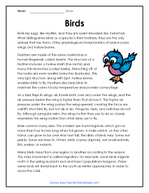 Birds Reading Worksheet