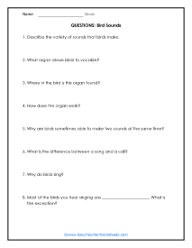 Sounds Question Worksheet