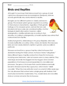 Birds and Reptiles Worksheet