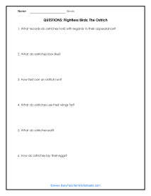 Ostrich Question Worksheet