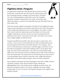 Penguins Worksheet