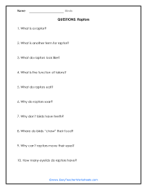 Raptor Question Worksheet