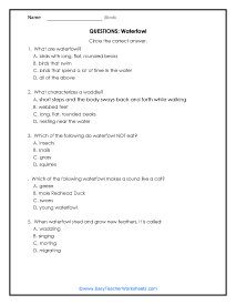 Waterfowl Question Worksheet