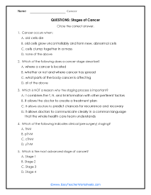 Stages Questions Worksheet