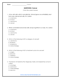 What is It Question Worksheet