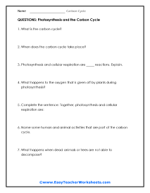 Photosynthesis Question Worksheet