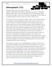 Atmospheric Carbon Dioxide Worksheet