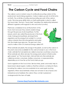 Food Chain Worksheet
