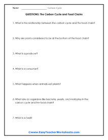 Food Chain Question Worksheet