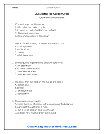 Cycle Questions Worksheet