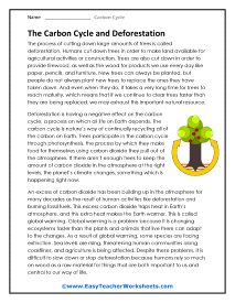 Deforestation Worksheet