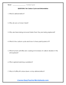 Deforestation Question Worksheet