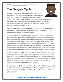 Oxygen Cycle Worksheet