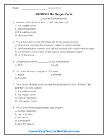 Oxygen Cycle Question Worksheet