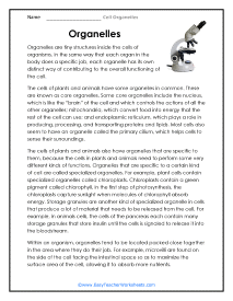 Organelle Reading Worksheet