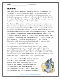 Nucleus Worksheet