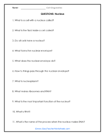 Nucleus Question Worksheet