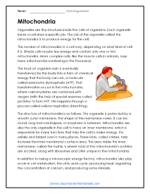 Mitochondria Worksheet