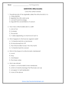 Mitochondria Question Worksheet