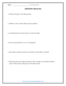 Ribosome Question Worksheet